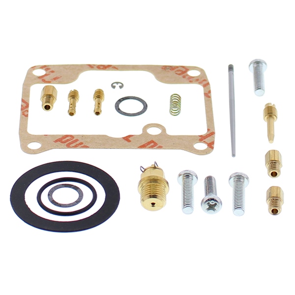 Carburetor Repair Kit