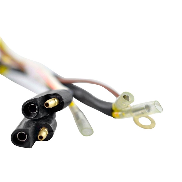 Image-3 Kimpex HD Flywheel and stator POLARIS - 345066 STATOR KIT/FLYWHEEL YAM KIMPEXHD RMS900-102182 RMS900-102182 KIMPEXHD