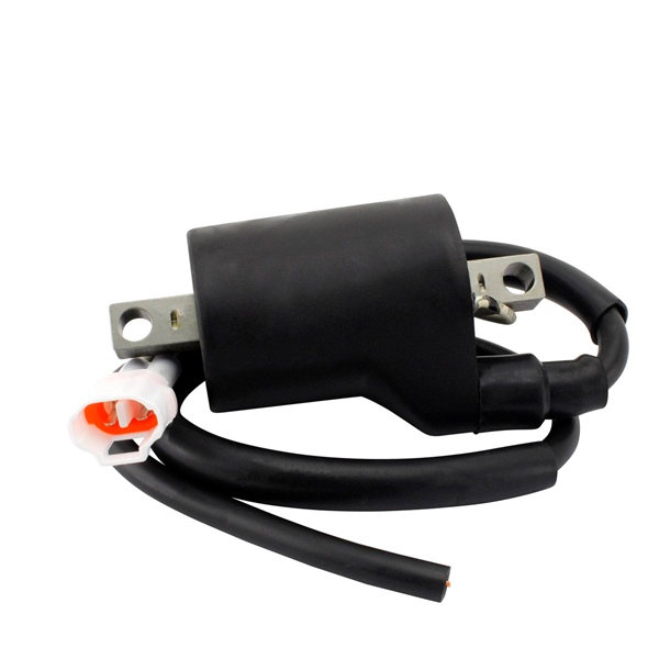 Ignition Coil & Spark Plug Cap