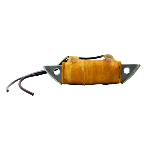 Ignition/Stator Coil