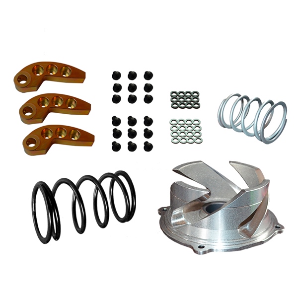 Clutch Kit with Adjustable Weight