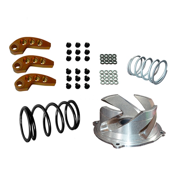 123-159 STRAIGHTLINE-PERFORMANCE Straightline Clutch Kit with Adjustable Weight Steel CLUTCH KIT W/ADJUSTABLE WEIGHT POL Clutch Kit with Adjustable Weight 