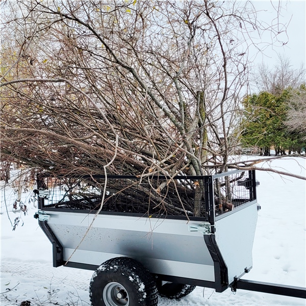 Image complémentaire de la pièce