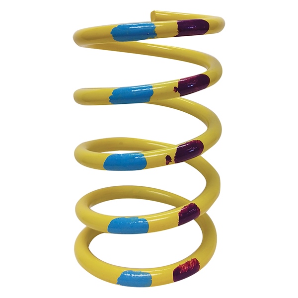 Primary Clutch Spring