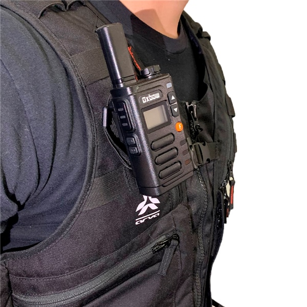 Image complémentaire de la pièce