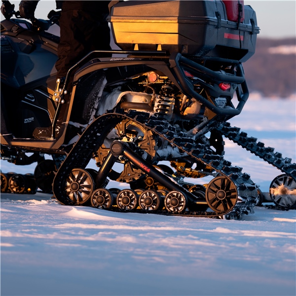 Image complémentaire de la pièce