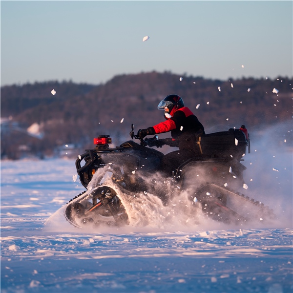 Image complémentaire de la pièce