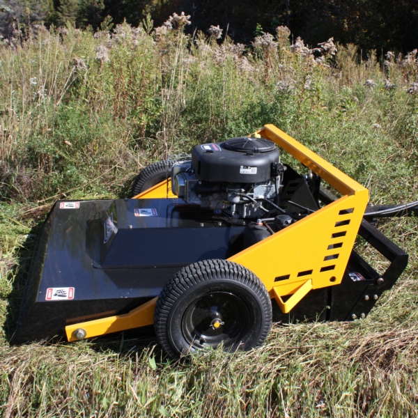 Image complémentaire de la pièce