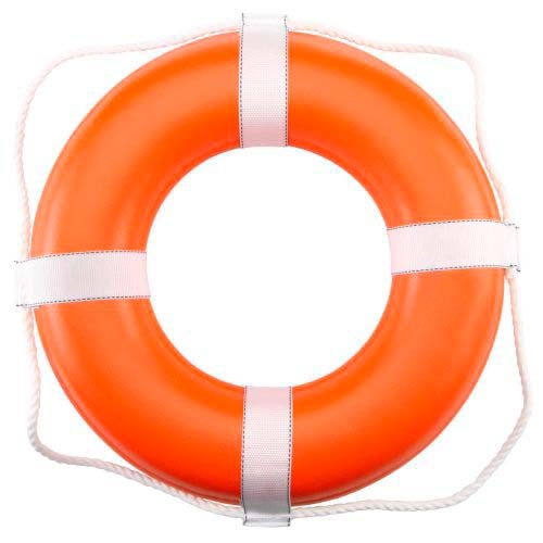 Dolphin Life Ring Buoy