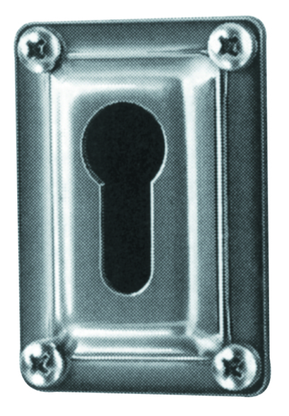 Shur-Loc Ladder Catch