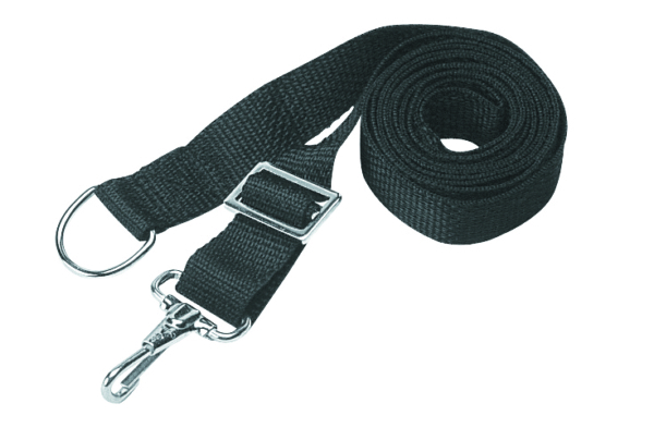 Bimini Tie-Down