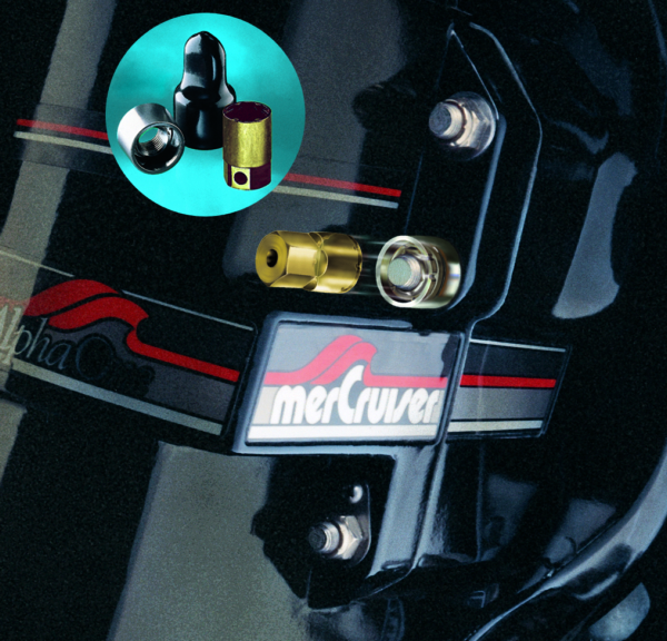 Sterndrive Theft Lock