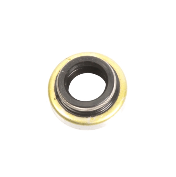 Oil Seal