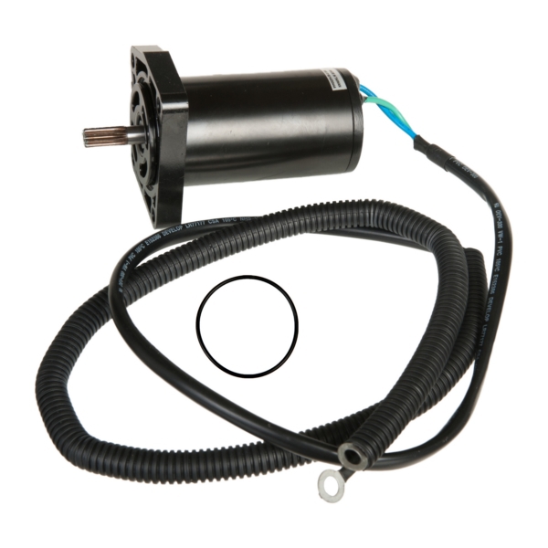 Trim Motor