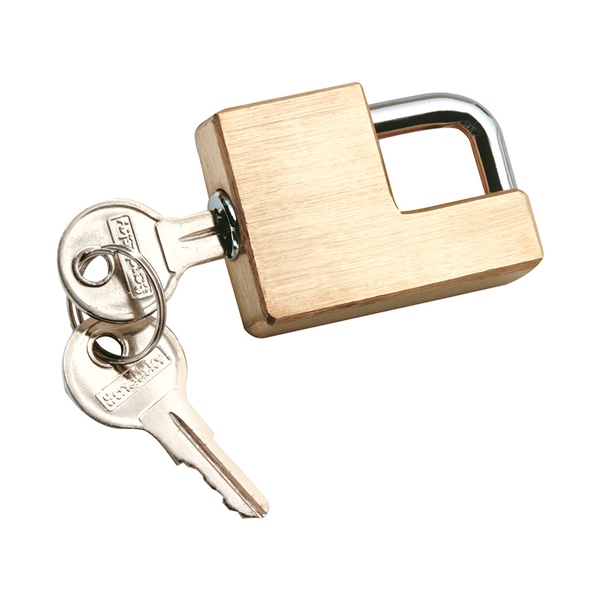 Trailer Hitch Coupler Lock