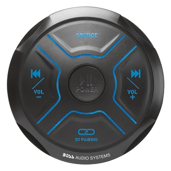 Gauge Controller MGR250B