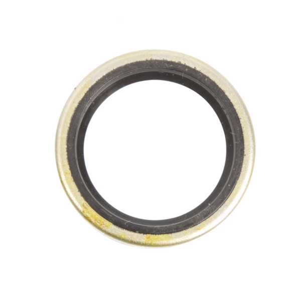 Oil Seal