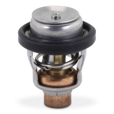 Thermostat 18-3684