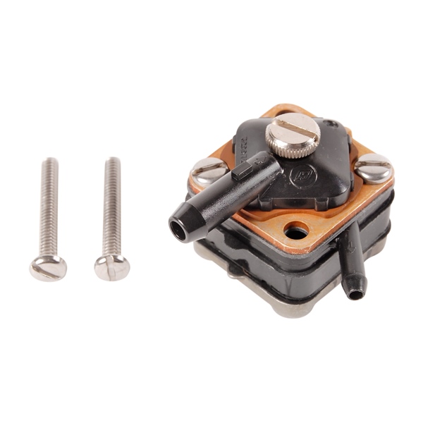 Fuel Pump & Screw