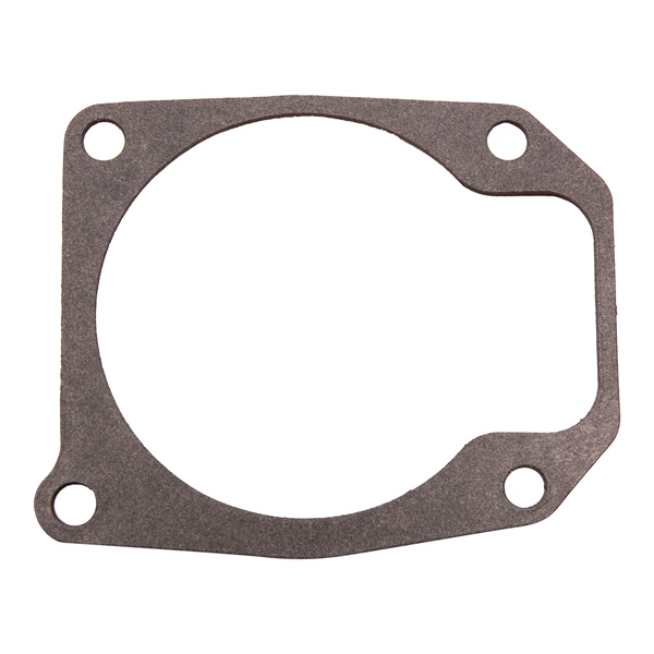 Water Pump Gasket