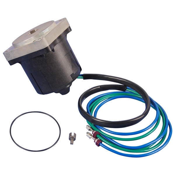 Motor and O-Ring