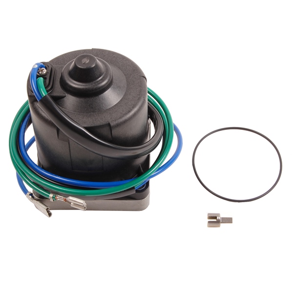 Motor and O-Ring