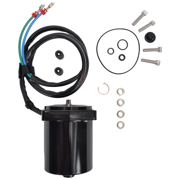 Motor and O-Ring