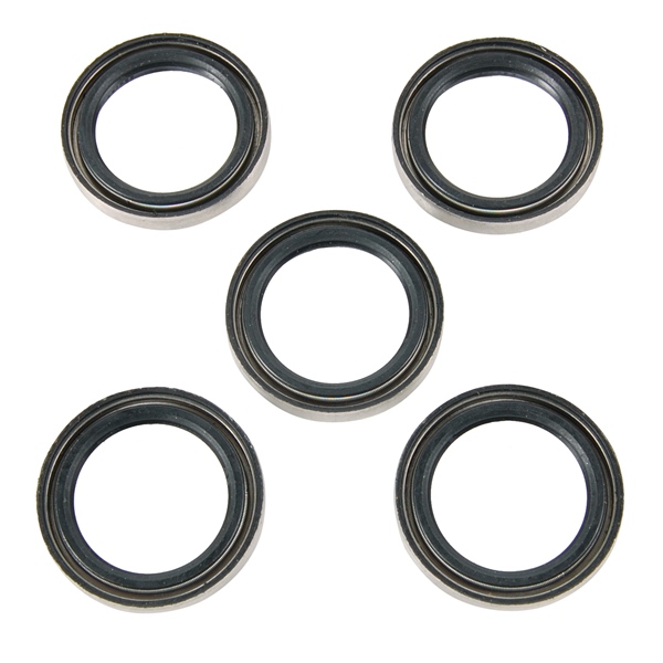 Oil Seal