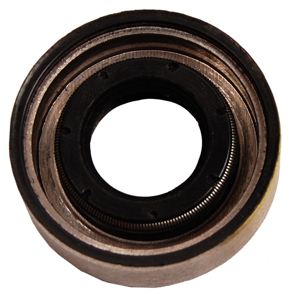 Oil Seal