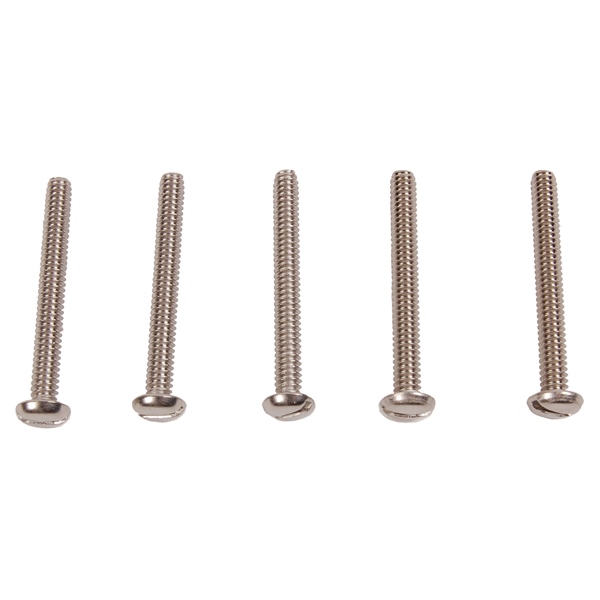 Screw