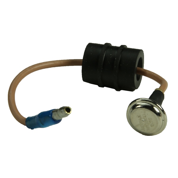 Temperature Switch