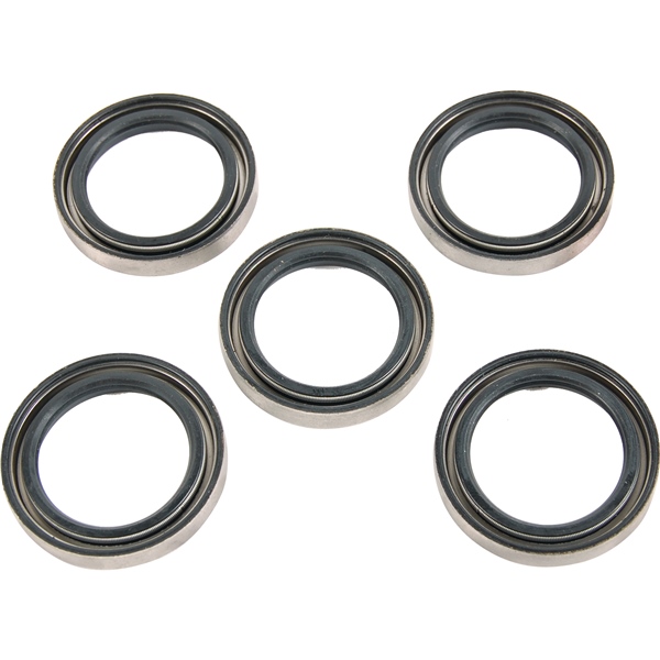 Oil Seal