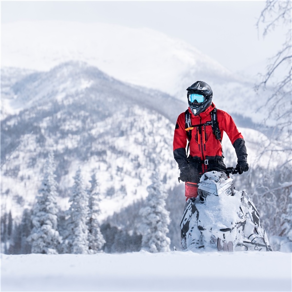 Image complémentaire de la pièce