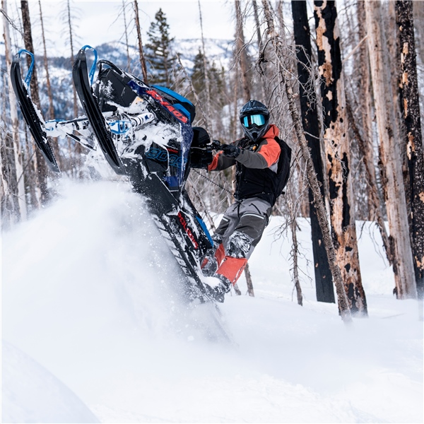 Image complémentaire de la pièce