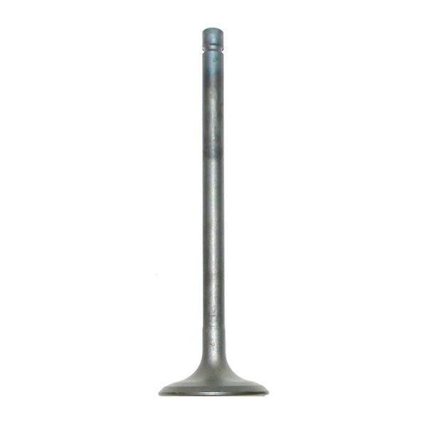 017-313-02 WSM WSM Exhaust Valve EXHAUST VALVE WSM Exhaust Valve 