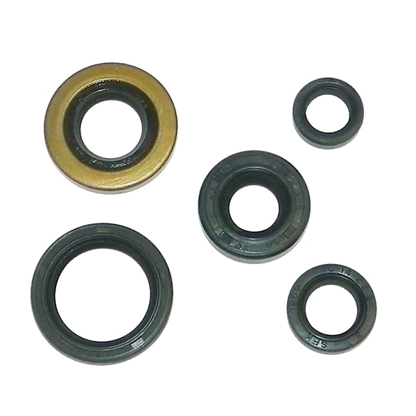 21-100 WSM WSM Crankshaft Seal Kit HONDA - 876871 CRANKSHAFT SEAL KIT WSM Crankshaft Seal Kit 