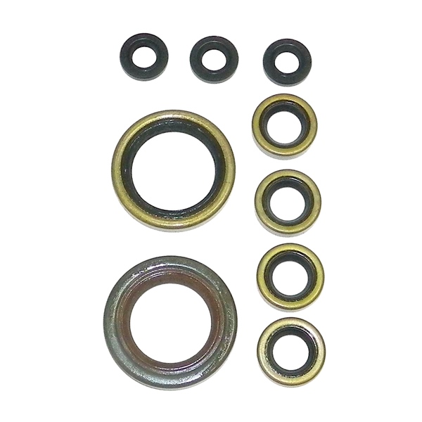 21-300 WSM WSM Crankshaft Seal Kit POLARIS - 876877 CRANKSHAFT SEAL KIT WSM Crankshaft Seal Kit 