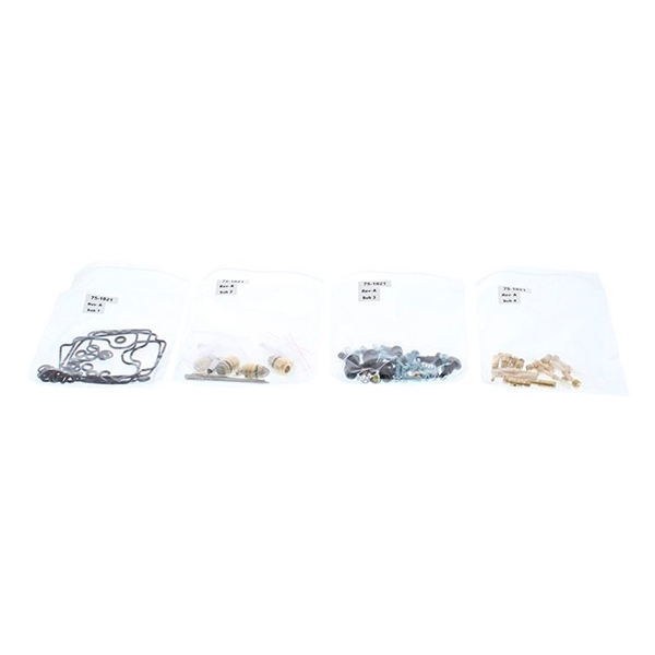 Carburetor Repair Kit