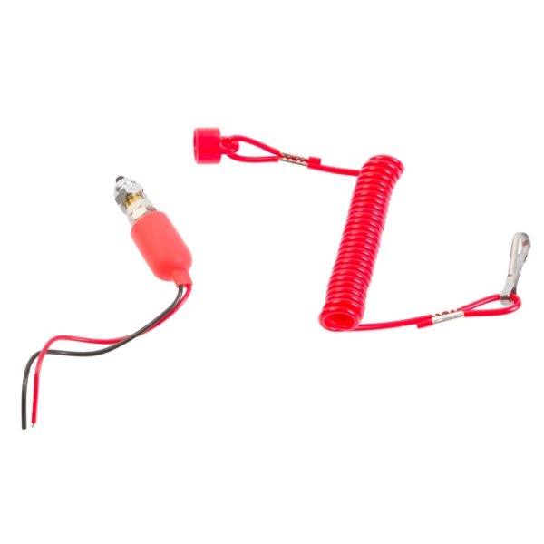 Image complémentaire de la pièce