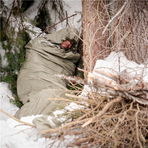 Image complémentaire de la pièce