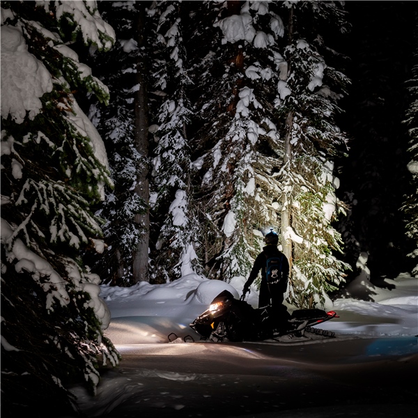 Image complémentaire de la pièce