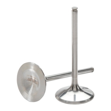 Hot Cams Soupape admission Acier & Titane Yamaha