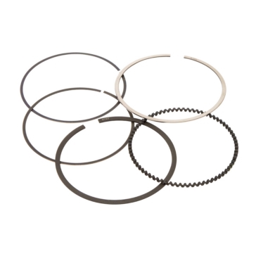 VertexWinderosa Piston Ring Set Fits Honda