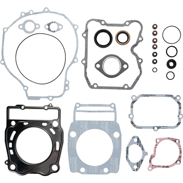 VertexWinderosa Complete Gasket Set with Oil Seals - 811 Fits Polaris - 190029