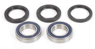 All Balls Wheel Bearing & Seal Kit Fits E-TON