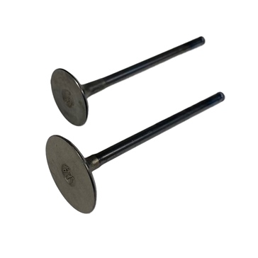 Shindy Ensemble de soupape de moteur Polaris