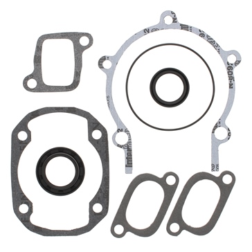 VertexWinderosa Professional Complete Gasket Sets with Oil Seals Fits Redcat, Fits Ski-doo - 09-711195