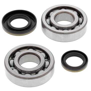 All Balls Crankshaft Bearing and Seal Kit Fits Suzuki - Dirt bikes