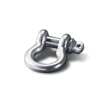 Warn Clevis D-Shackle