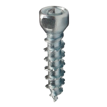 WOODYS Boss Screw 30 mm